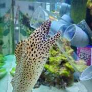 ヒメ日記 2025/06/30 23:11 投稿 今日子 出会い系人妻ネットワーク 新宿〜池袋編