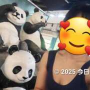 ヒメ日記 2025/10/15 08:45 投稿 今日子 出会い系人妻ネットワーク 新宿〜池袋編