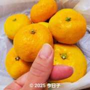 ヒメ日記 2025/11/13 17:55 投稿 今日子 出会い系人妻ネットワーク 新宿〜池袋編