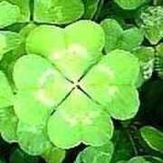 ヒメ日記 2025/10/17 09:06 投稿 たまみ 熟女家 京橋店