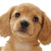 ヒメ日記 2025/10/19 09:13 投稿 たまみ 熟女家 京橋店