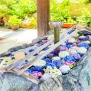 ヒメ日記 2025/06/17 07:43 投稿 なつこ巨乳癒し系マダム 熟女パラダイス岐阜店（カサブランカグループ）