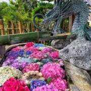 ヒメ日記 2025/06/18 21:03 投稿 なつこ巨乳癒し系マダム 熟女パラダイス岐阜店（カサブランカグループ）