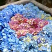 ヒメ日記 2025/06/20 12:31 投稿 なつこ巨乳癒し系マダム 熟女パラダイス岐阜店（カサブランカグループ）