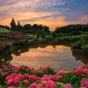 ヒメ日記 2025/07/01 17:11 投稿 なつこ巨乳癒し系マダム 熟女パラダイス岐阜店（カサブランカグループ）