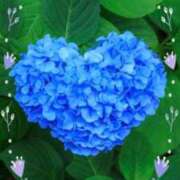 ヒメ日記 2025/07/02 07:29 投稿 なつこ巨乳癒し系マダム 熟女パラダイス岐阜店（カサブランカグループ）