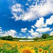 ヒメ日記 2025/07/04 08:01 投稿 なつこ巨乳癒し系マダム 熟女パラダイス岐阜店（カサブランカグループ）