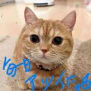 ヒメ日記 2025/07/27 12:29 投稿 なつこ巨乳癒し系マダム 熟女パラダイス岐阜店（カサブランカグループ）