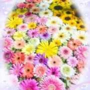 ヒメ日記 2025/08/07 13:12 投稿 なつこ巨乳癒し系マダム 熟女パラダイス岐阜店（カサブランカグループ）