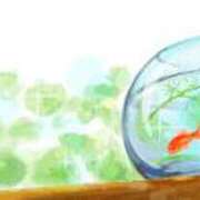 ヒメ日記 2025/08/23 13:21 投稿 なつこ巨乳癒し系マダム 熟女パラダイス岐阜店（カサブランカグループ）