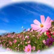 ヒメ日記 2025/10/06 06:36 投稿 なつこ巨乳癒し系マダム 熟女パラダイス岐阜店（カサブランカグループ）