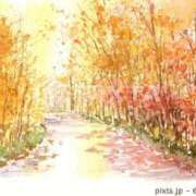 ヒメ日記 2025/11/06 07:55 投稿 なつこ巨乳癒し系マダム 熟女パラダイス岐阜店（カサブランカグループ）