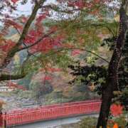 ヒメ日記 2025/11/13 07:35 投稿 なつこ巨乳癒し系マダム 熟女パラダイス岐阜店（カサブランカグループ）