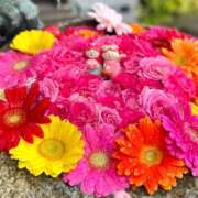 ヒメ日記 2025/12/20 22:48 投稿 なつこ巨乳癒し系マダム 熟女パラダイス岐阜店（カサブランカグループ）