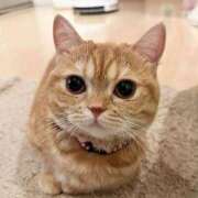 ヒメ日記 2025/12/29 08:03 投稿 なつこ巨乳癒し系マダム 熟女パラダイス岐阜店（カサブランカグループ）