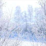 ヒメ日記 2026/02/08 08:16 投稿 なつこ巨乳癒し系マダム 熟女パラダイス岐阜店（カサブランカグループ）