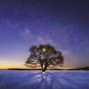 ヒメ日記 2026/02/21 20:40 投稿 なつこ巨乳癒し系マダム 熟女パラダイス岐阜店（カサブランカグループ）