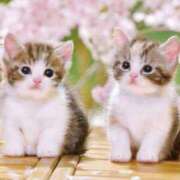 ヒメ日記 2026/03/10 07:11 投稿 なつこ巨乳癒し系マダム 熟女パラダイス岐阜店（カサブランカグループ）