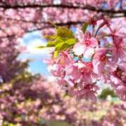 なつこ巨乳癒し系マダム おはようございます 熟女パラダイス岐阜店（カサブランカグループ）