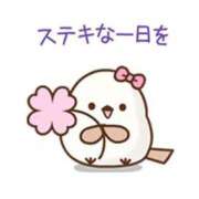 ヒメ日記 2026/05/19 07:18 投稿 なつこ巨乳癒し系マダム 熟女パラダイス岐阜店（カサブランカグループ）