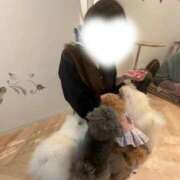 ヒメ日記 2026/03/13 23:48 投稿 めい ごほうびSPA京都店