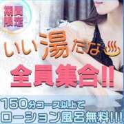 希姫（きき） 🐻‍❄️期間限定　いい湯だな♨全員集合！！ 丸妻 錦糸町店