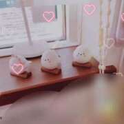 ヒメ日記 2025/06/24 15:00 投稿 藤田　さち しこたま奥様 札幌店