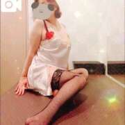 ヒメ日記 2025/11/18 17:35 投稿 藤田　さち しこたま奥様 札幌店