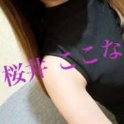 ヒメ日記 2025/09/03 14:45 投稿 桜井ここな 禁断のメンズエステR-18堺・南大阪店