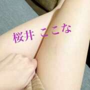 桜井ここな 久しぶりに 禁断のメンズエステR-18堺・南大阪店