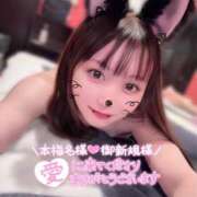 ヒメ日記 2025/11/23 12:33 投稿 エリカ バニーコレクション秋田店