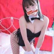 ヒメ日記 2026/02/11 09:14 投稿 エリカ バニーコレクション秋田店