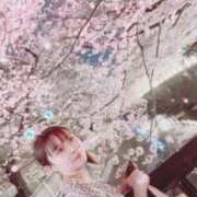 ヒメ日記 2026/03/30 23:26 投稿 エリカ バニーコレクション秋田店