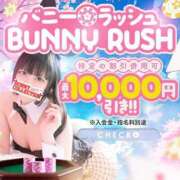 ヒメ日記 2026/04/04 10:36 投稿 エリカ バニーコレクション秋田店