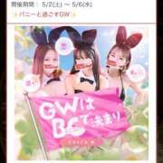 ヒメ日記 2026/05/03 16:59 投稿 エリカ バニーコレクション秋田店