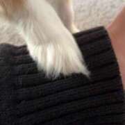 らむ ハジメテ奪って♡ バニラシュガー古河店