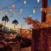 ヒメ日記 2026/01/26 16:34 投稿 さくら いざ候 別館