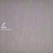 ヒメ日記 2025/12/12 21:54 投稿 まおん 奥様特急　立川店