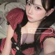 ヒメ日記 2025/11/19 09:58 投稿 れい Versailles