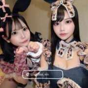 ヒメ日記 2026/02/25 22:30 投稿 れい Versailles