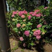 ヒメ日記 2025/06/14 01:21 投稿 ゆみか 熟女の風俗最終章 宇都宮店