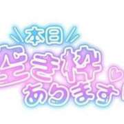 ヒメ日記 2026/05/02 10:23 投稿 らんか SPIN(スピン)