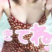 ヒメ日記 2025/06/27 17:24 投稿 光流（みつる） ビッグバード