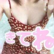 ヒメ日記 2025/06/29 20:24 投稿 光流（みつる） ビッグバード