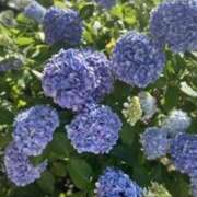 ヒメ日記 2025/07/02 17:54 投稿 光流（みつる） ビッグバード