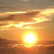 ヒメ日記 2025/07/09 10:14 投稿 光流（みつる） ビッグバード