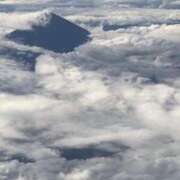 ヒメ日記 2025/07/27 14:47 投稿 光流（みつる） ビッグバード