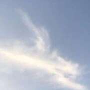 ヒメ日記 2025/09/09 09:34 投稿 光流（みつる） ビッグバード