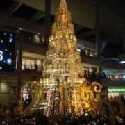 ヒメ日記 2025/12/25 06:44 投稿 光流（みつる） ビッグバード