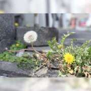 ヒメ日記 2026/04/05 10:08 投稿 のあ ハピネス＆ドリーム福岡